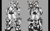 Fem_assault03back_concept